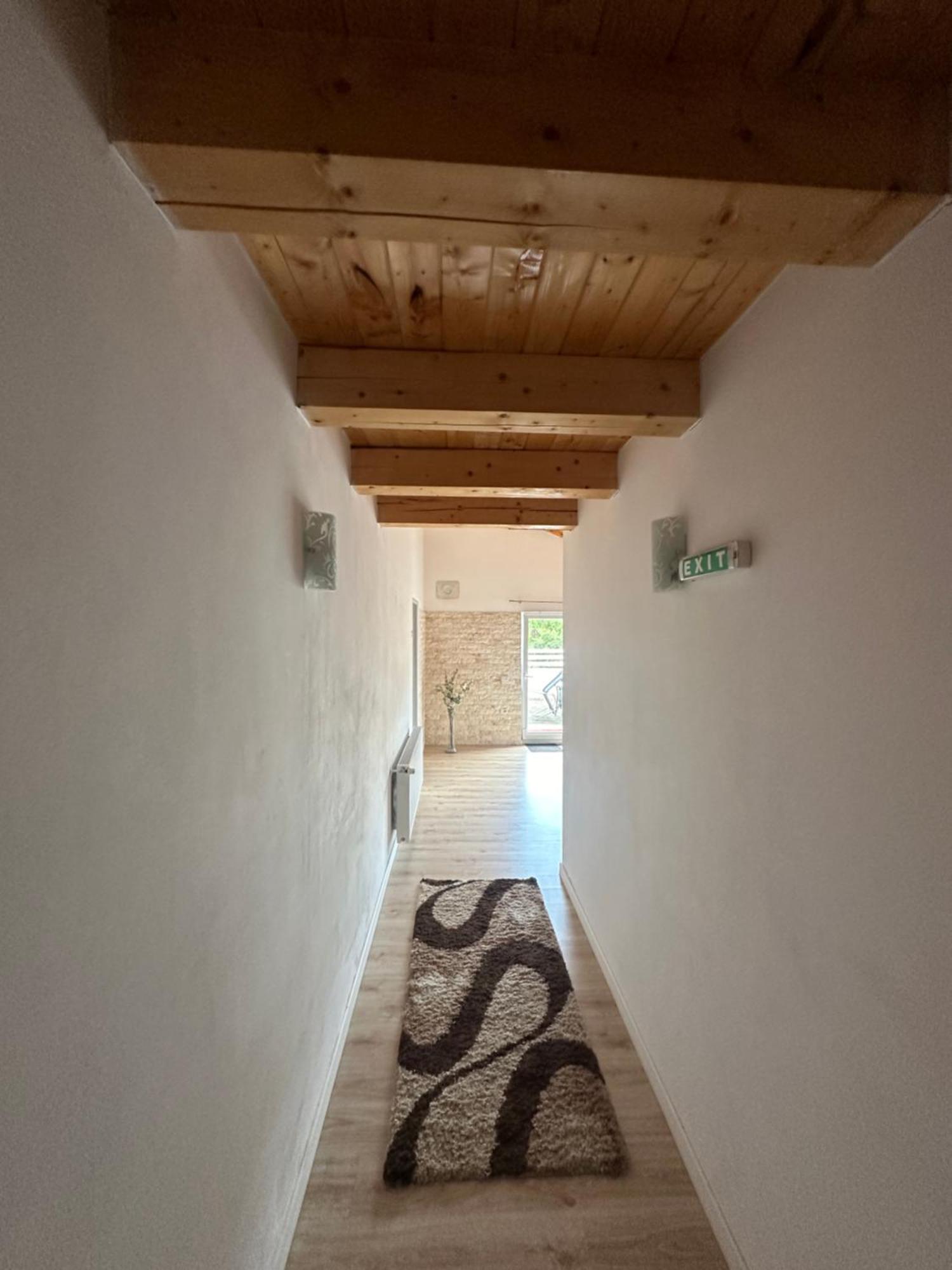 Pensiunea Alexandra Livia Borşa Exterior foto